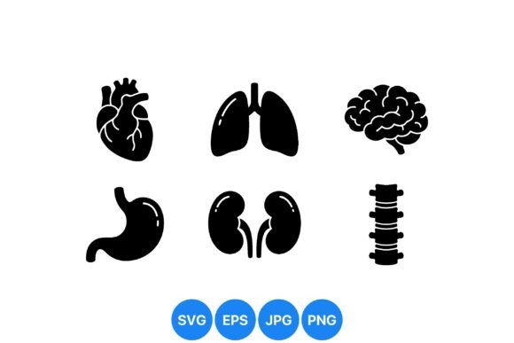 Human Organ SVG Icon Set